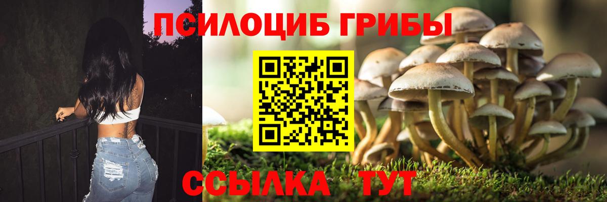Барнаул  купить закладку  Вход с VPN  Псилоцибиновые грибы Psilocybine cubensis 